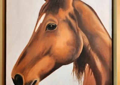 Home Page 16 Red Mare