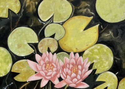 Home Page 6 Claire’s Waterlilies, 16x20, oil ($650)
