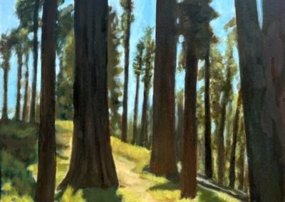 Home Page 1 Sequoias 12x16 oil ($595)