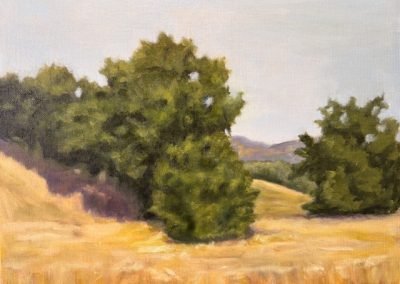 Home Page 3 Lush trees in golden landscape
